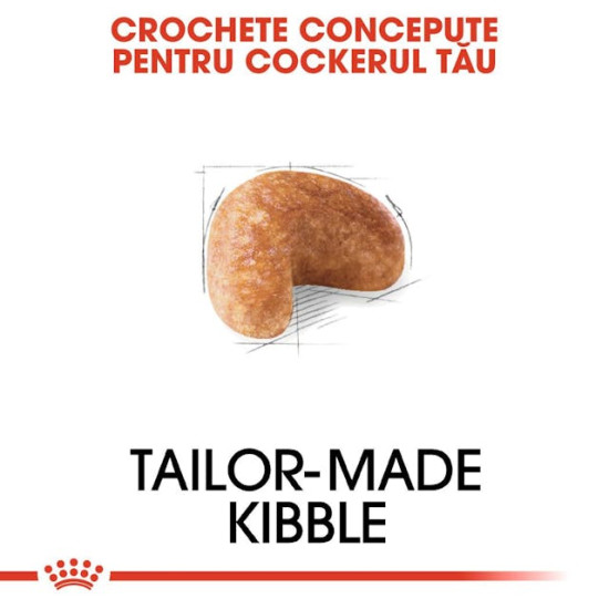 Royal Canin Cocker Adult – Hrană Uscată pentru Câini Adulți din Rasa Cocker Spaniel – 3 kg